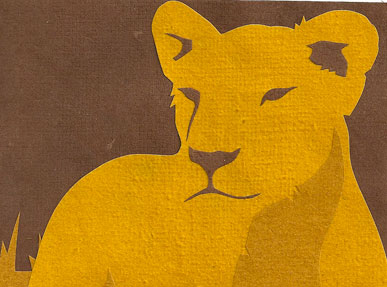 Lion Cub